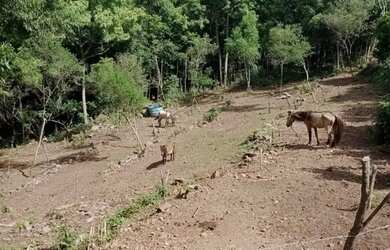 Imagem 4: Barbada vendo Chácara com venda por R$250.000