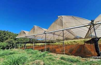 Imagem: A fazenda possui 183.000m² de Área e está localizado em