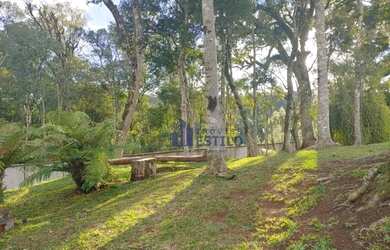 Imagem 12: Terreno à venda, 740 m² por R$ 665.000 - Pedancino - Caxias do Sul/RS