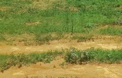 Imagem: Lote em condomínio na 26 de setembro