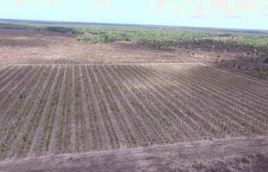 Imagem 16: R$5 milhões de reais 3 galpão granja 75 mil frangos em pleno funcionamento...