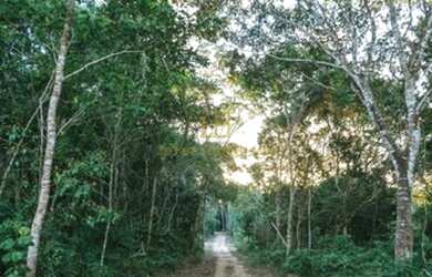 Imagem 6: Porto Seguro - Terreno Padrão - Estrada de Trancoso