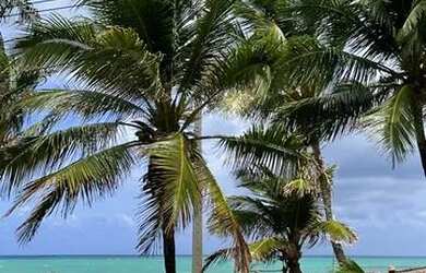 Imagem: O depósito está localizado em Ipojuca, PE à venda por R$90.000