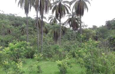 Imagem: O terreno e está localizado em Jaboticatubas, MG à venda por