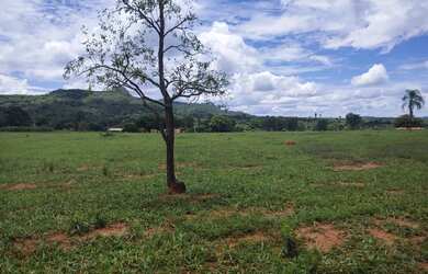 Imagem 12: Fazenda 80 alq. Em trindade 300 mil.p/ alq. Pega 40% aptos Goiânia 24 milhoes
