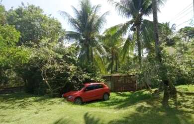 Imagem 6: Aluga-se para Natal ou ano novo , ou pra festejar alguma festa