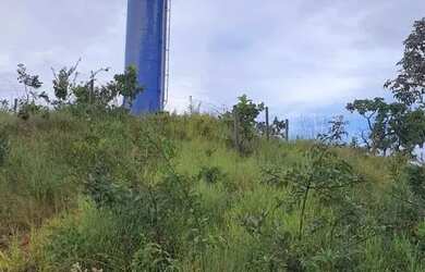 Imagem 9: Fazenda 3 quartos para Venda Amaral, Unaí