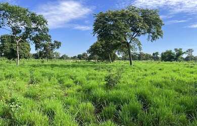 Imagem 2: FAZENDA EM BURITIZEIRO MG NA BEIRA DO RIO SÃO FRANCISCO FORMADA E COM...