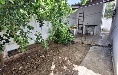 Imagem 14: Casa com piscina em Jacuipe