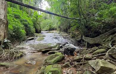 Imagem: O terreno possui 20.000m² de Área e está localizado em Centro