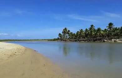 Imagem 5: Lote à venda em rua pública, CAUEIRA, Itaporanga d Ajuda, SE