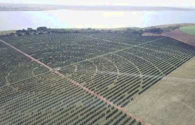 Imagem 3: fazenda de 158,33 hectares na região da cidade de Votuporanga