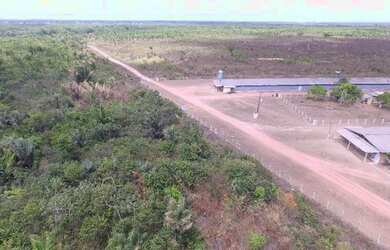 Imagem 2: R$5 milhões de reais 3 galpão granja 75 mil frangos em pleno funcionamento...
