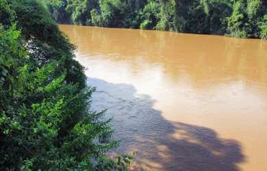 Imagem 11: Vendo Pesqueiro beira Rio Aquidauana 4 he