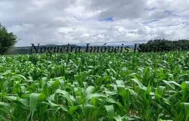 Imagem 1: Fazenda com 129 alqueires em Bofete - SP Nogueira Imóveis Rurais