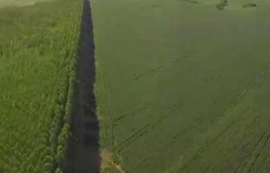 Imagem: A fazenda possui 47.910.000m² de Área e está localizado