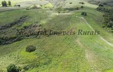 Imagem 15: Fazenda com 129 alqueires em Bofete - SP Nogueira Imóveis Rurais