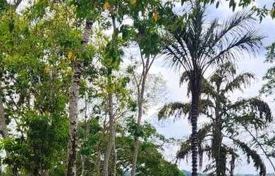 Imagem: O terreno possui 682m² de Área e está localizado em Ponta