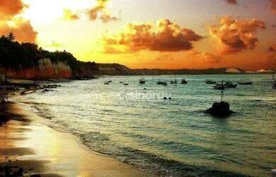 Imagem: O apartamento para alugar possui 2 Dormitórios, 1 Banheiro