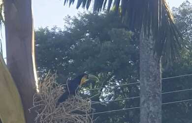 Imagem 13: Chácara para locação por temporada com 3 quartos em Mairiporã - SP