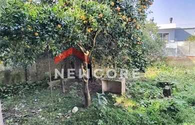 Imagem: A casa possui 2 Dormitórios, 2 Banheiros, 2 Vagas na garagem