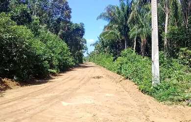 Imagem: O terreno possui 300m² de Área e está localizado em Compensa