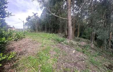 Imagem 7: Terreno - Bairro Pórtico