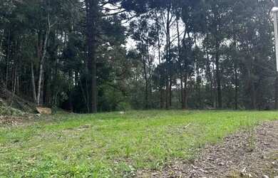 Imagem 5: Terreno - Bairro Pórtico