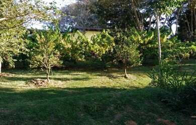 Imagem 5: Sítio, Região de Porto Feliz SP