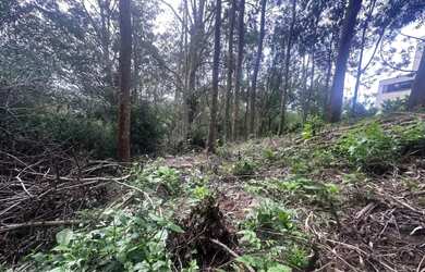 Imagem 10: Terreno - Bairro Pórtico