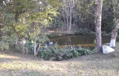 Imagem: A chácara possui 6.000m² de Área e está localizado em Mandirituba