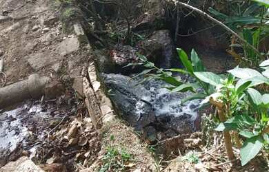 Imagem 11: Linda Fazenda na Cidade de Cunha