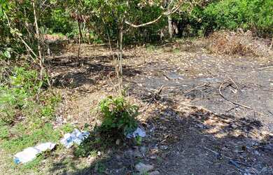 Imagem 9: VENDO TERRENO EM PANAQUATIRA