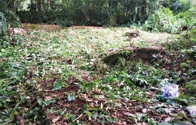 Imagem 7: Caraguatatuba - Loteamento/Condomínio - Park Imperial