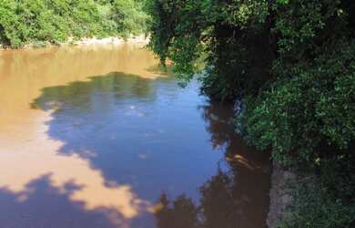 Imagem 7: Vendo Pesqueiro beira Rio Aquidauana 4 he