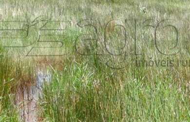 Imagem 5: Fazenda à venda, 270 Hectares por R$ 3.500.000 - Região de Mamanguape-PB