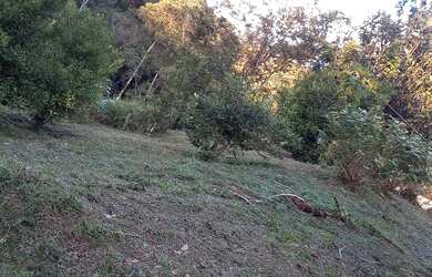 Imagem 1: Sitio furbino. Varandae20.000m² de Área