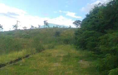 Imagem 5: Terreno especial com 17500 m², no Centro Industrial de Ribeirão das...