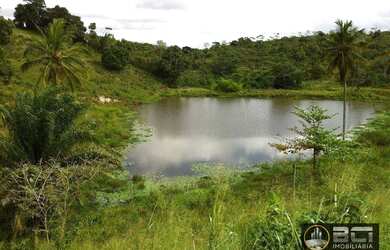 Imagem 5: Terreno à venda, 480 m² por R$ 105.000,00 - Bonança - Moreno/PE