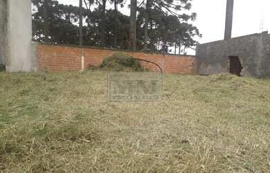 Imagem 4: Terreno à venda com 408m² por R$ 179.000,00 no bairro Vila Mariana -...