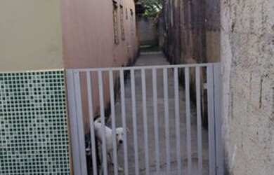 Imagem 9: Casa para venda. 4 Vagas na garageme3 Dormitórios