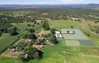 Imagem 8: Vende-se Fazenda em Buritis MG, 180km de Brasília - Um Paraíso de 159...