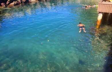 Imagem 7: VITOR LOPES Vende Temos o imóvel ideal para seu final de semana - Confira