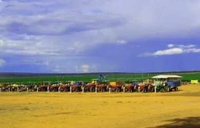 Imagem 3: Buritizeiro/MG- Fazenda de Café de 2.050,00 ha - R$350.000.000,00