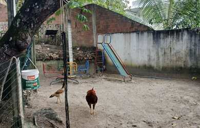 Imagem 6: Casa em Ouro Preto-Olinda PE