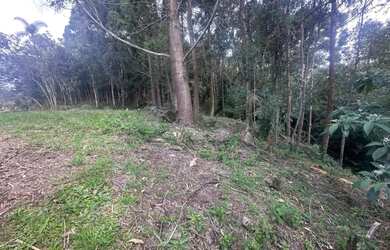 Imagem 6: Terreno - Bairro Pórtico