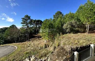 Imagem 4: Terreno amplo, em Gramado no Morada da Serra, com vista para o vale