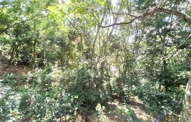 Imagem 9: Terreno à venda na linha 40 em Caxias do Sul