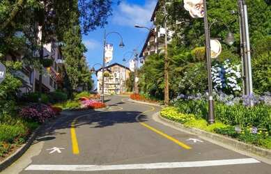 Imagem 10: Terreno - Bairro Dutra. 450m² de Área