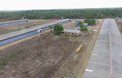 Imagem 11: R$5 milhões de reais 3 galpão granja 75 mil frangos em pleno funcionamento...